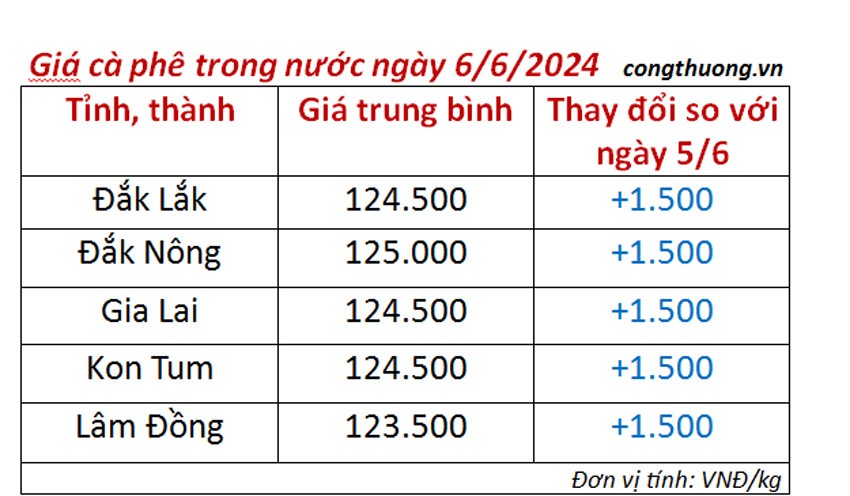 Giá cà phê hôm nay ngày 6/6/2024: