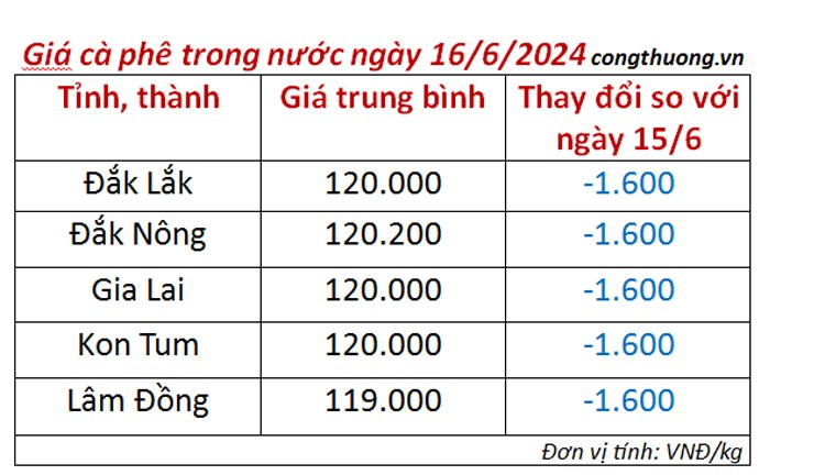 Giá cà phê hôm nay ngày 16/6/2024: Cà phê trong nước lao dốc mạnh