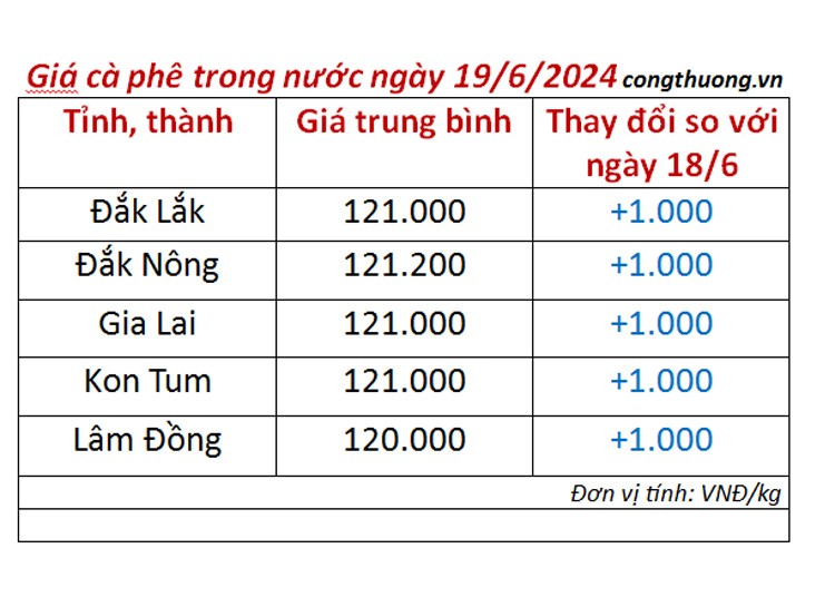 Giá cà phê hôm nay 19/6/2024: