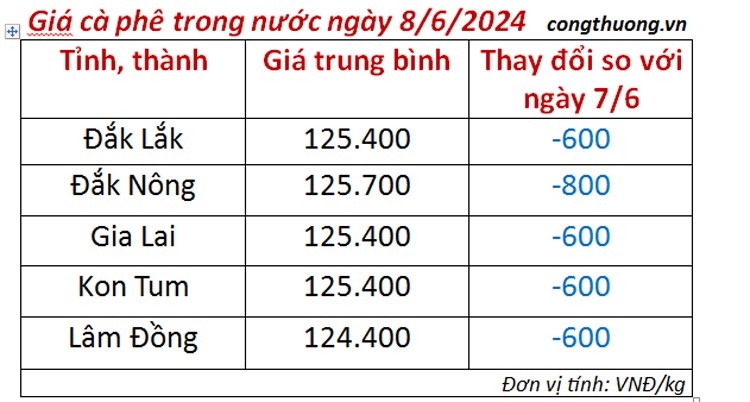 Giá cà phê hôm nay ngày 8/6/2024: Trong nước