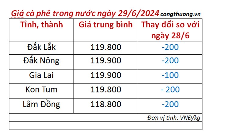 Giá cà phê hôm nay 29/6/2024: Giá cà phê trong nước nối tiếp đà giảm