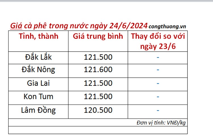 Giá cà phê hôm nay 24/6/2024: Giá cà phê