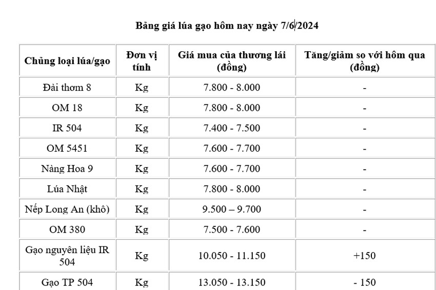 Giá lúa gạo hôm nay 7/6/2024: Giá lúa chững lại, giá nếp giảm nhẹ