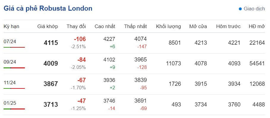 Giá cà phê hôm nay ngày 16/6/2024: