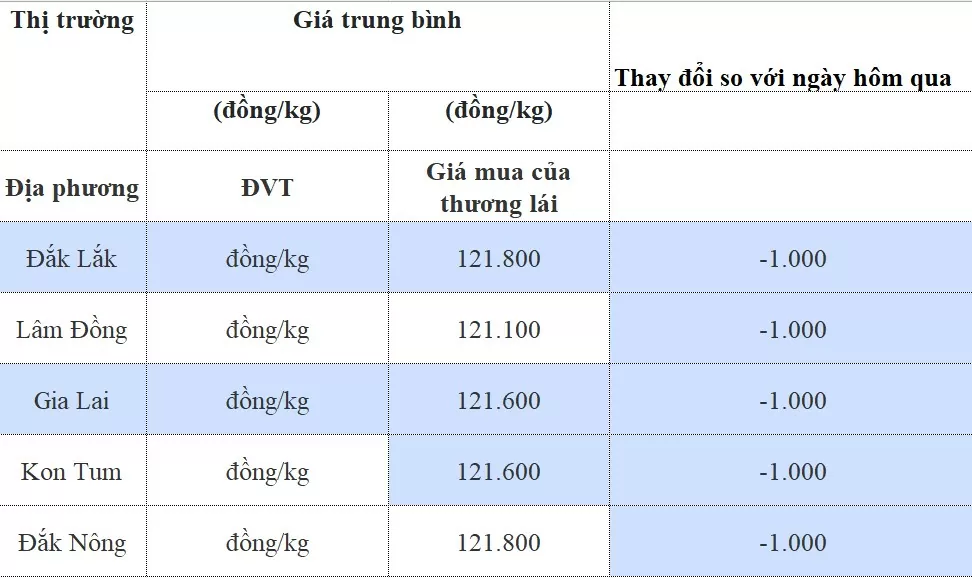 Dự báo giá cà phê ngày 11/8/2024: