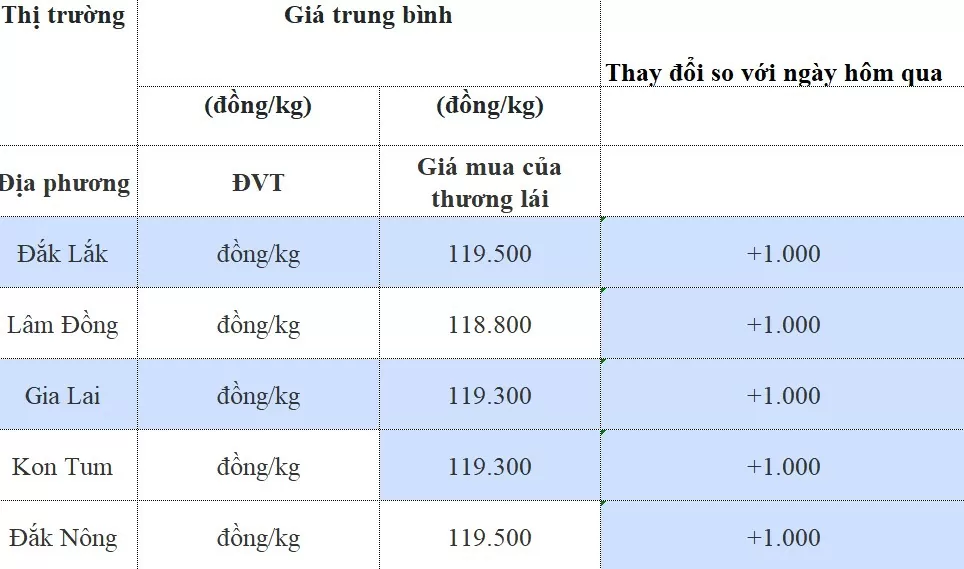 Giá cà phê hôm nay 14/8/2024: Trong nước tăng nhẹ, thế giới đảo chiều giảm