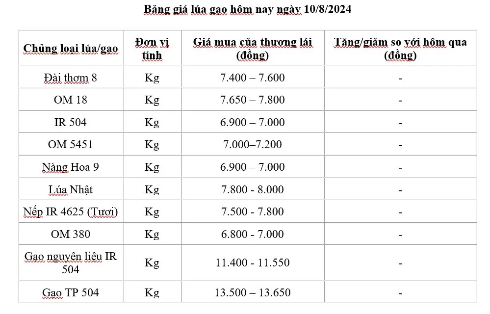 Giá lúa gạo hôm nay ngày 10/8/2024: Giá lúa