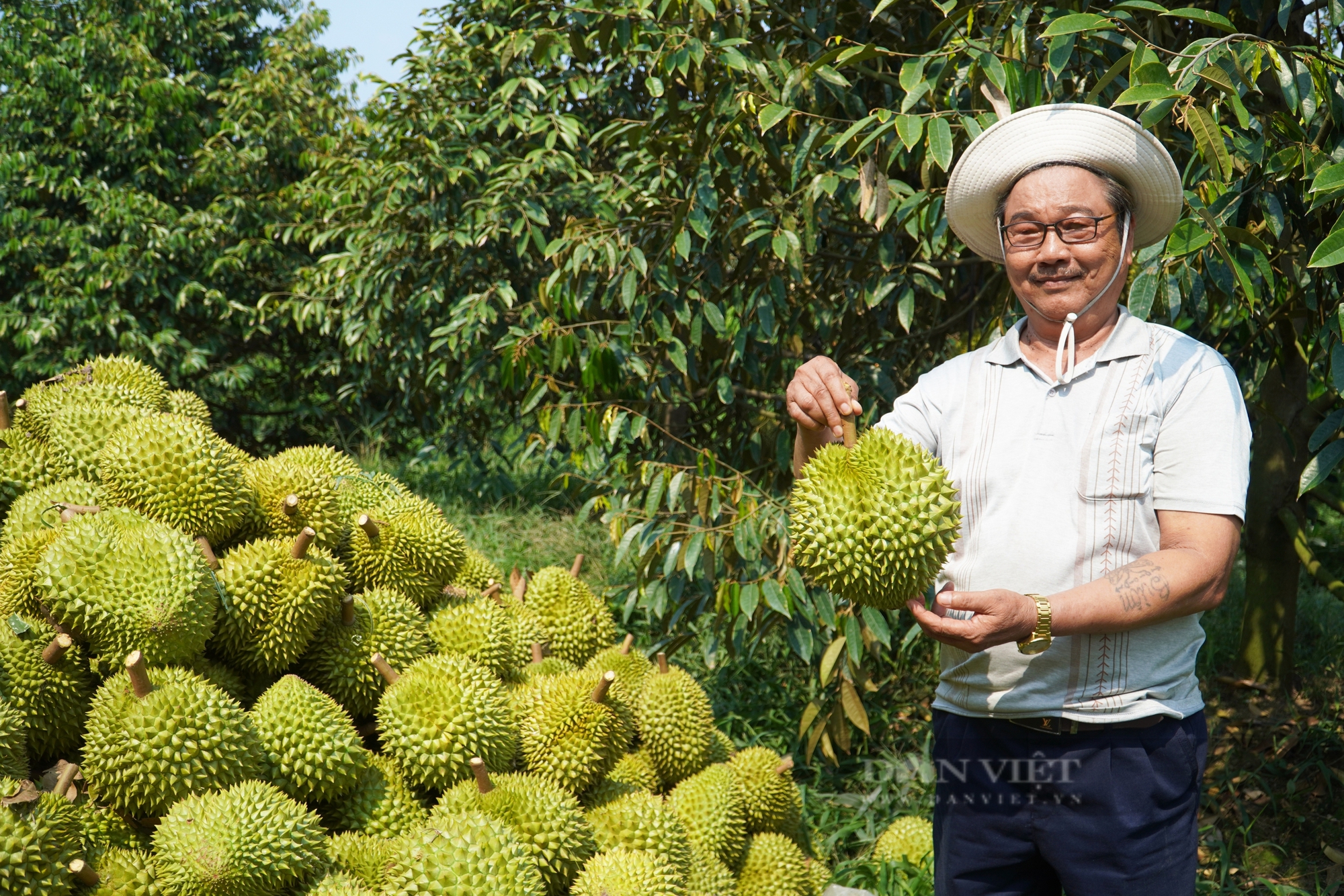 Xuất khẩu sầu riêng đông lạnh, liệu vùng ĐBSCL có biến rủi ro thành lợi thế?- Ảnh 1.