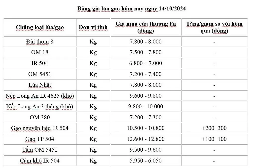 Giá lúa gạo hôm nay 14/10/2024: Giá lúa yên ắng, giá gạo trong nước tăng