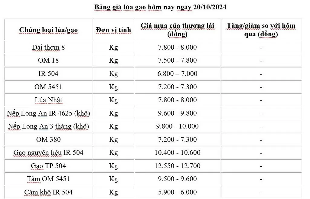 Giá lúa gạo hôm nay 20/10/2024: Giá lúa gạo trầm lắng đi ngang trong phiên cuối tuần