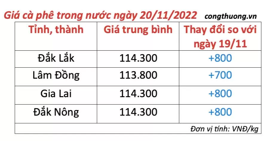 Giá cà phê hôm nay 20/11/2024: Giá cà phê trong nước tiếp đà tăng