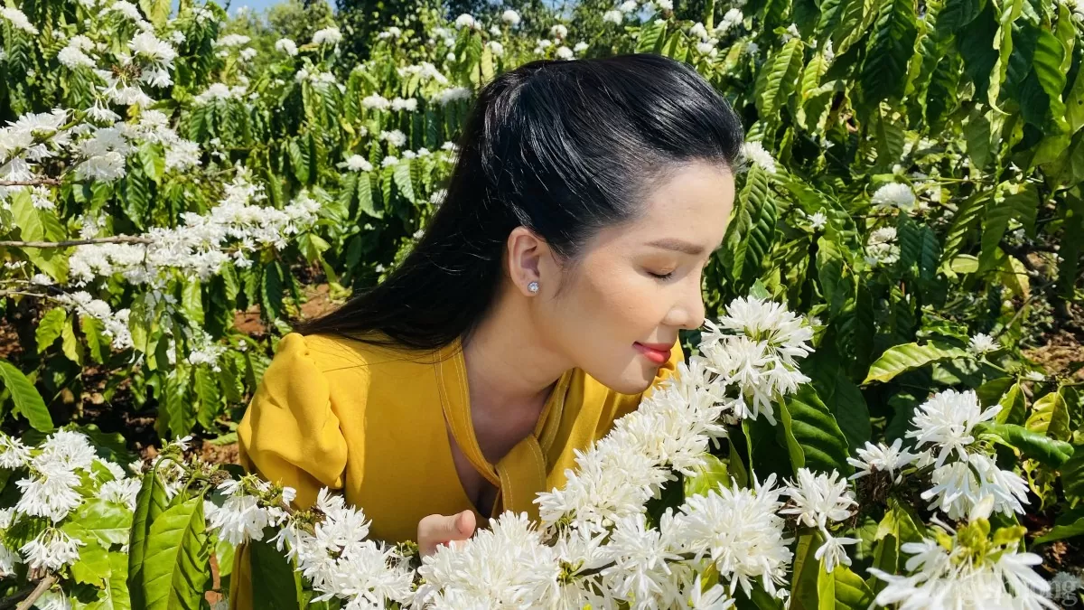 Khách du lịch khám phá vườn cà phê tại tỉnh Lâm Đồng Khách du lịch khám phá vườn cà phê tại tỉnh Lâm Đồng