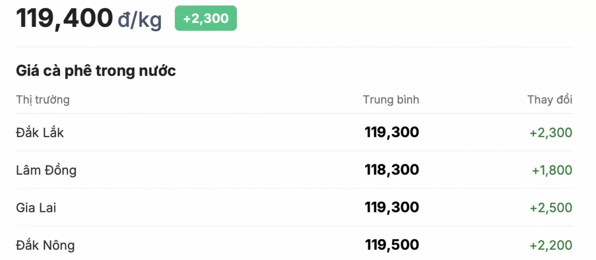 Bảng giá cà phê trong nước ngày 19/1/2025