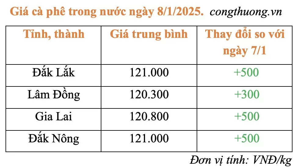 Giá cà phê hôm nay 8/1/2025: Giá cà phê trong nước