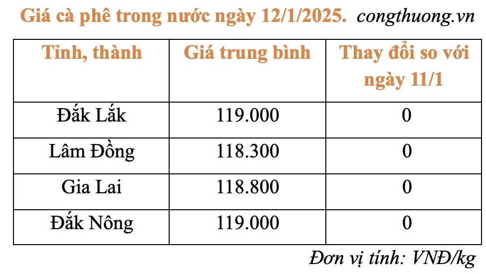 Giá cà phê hôm nay 11/1/2025: