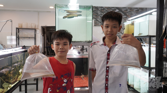 dsc06636-114945_339-114945.jpg Cá cảnh luôn là thú chơi từ bao đời nay của người dân nhất là vào những dịp Tết đến xuân về. Ảnh: Trần Phi.