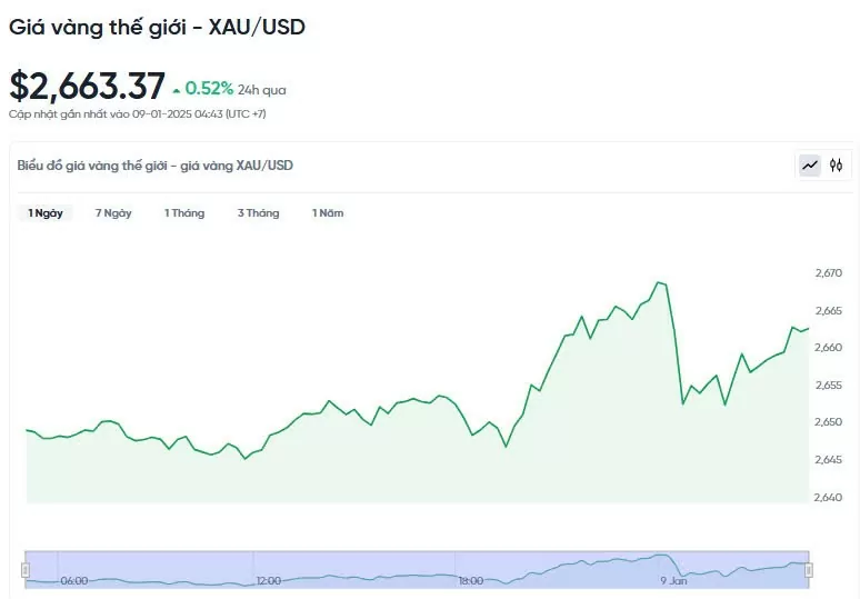 Giá vàng hôm nay 09/01/2025: