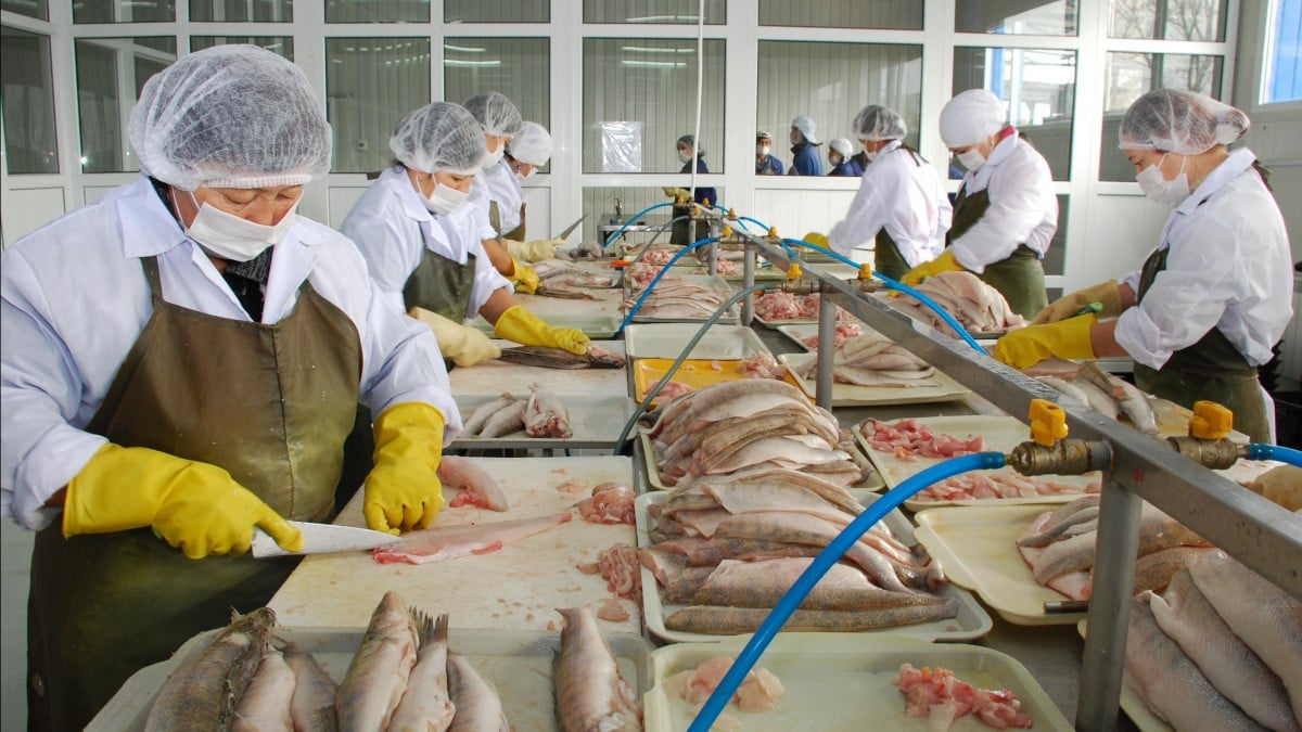 EU là thị trường xuất khẩu thủy sản quan trọng của Việt Nam. Ảnh: ELKS. EU là thị trường xuất khẩu thủy sản quan trọng của Việt Nam. Ảnh: ELKS.