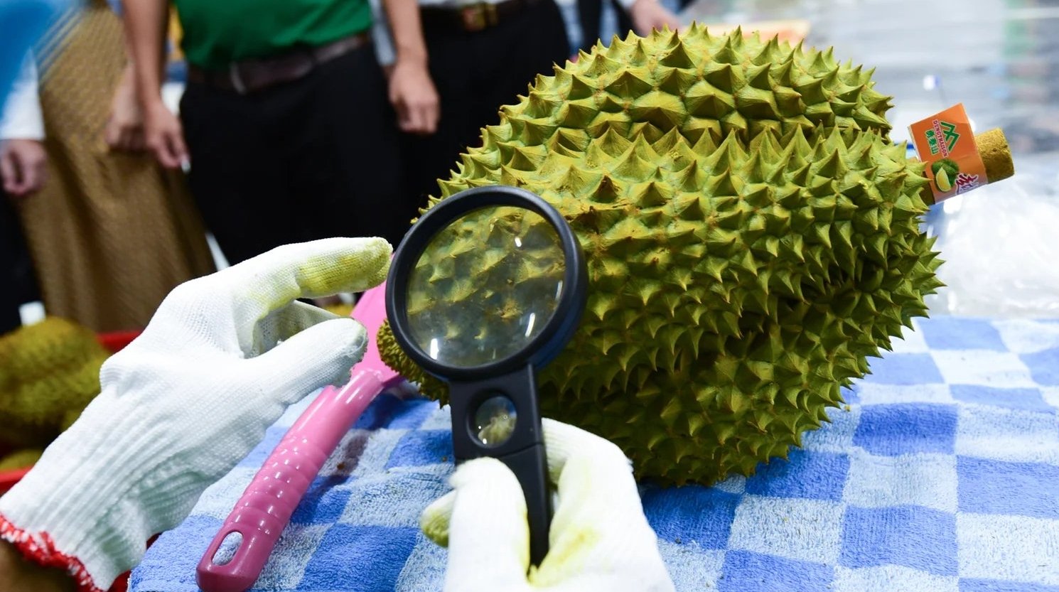 Nông sản, thực phẩm nhập khẩu vào EU có thể phải đáp ứng những yêu cầu cao hơn về mức dư lượng hóa chất bảo vệ thực vật. Ảnh: Tùng Đinh. Nông sản, thực phẩm nhập khẩu vào EU có thể phải đáp ứng những yêu cầu cao hơn về mức dư lượng hóa chất bảo vệ thực vật. Ảnh: Tùng Đinh.