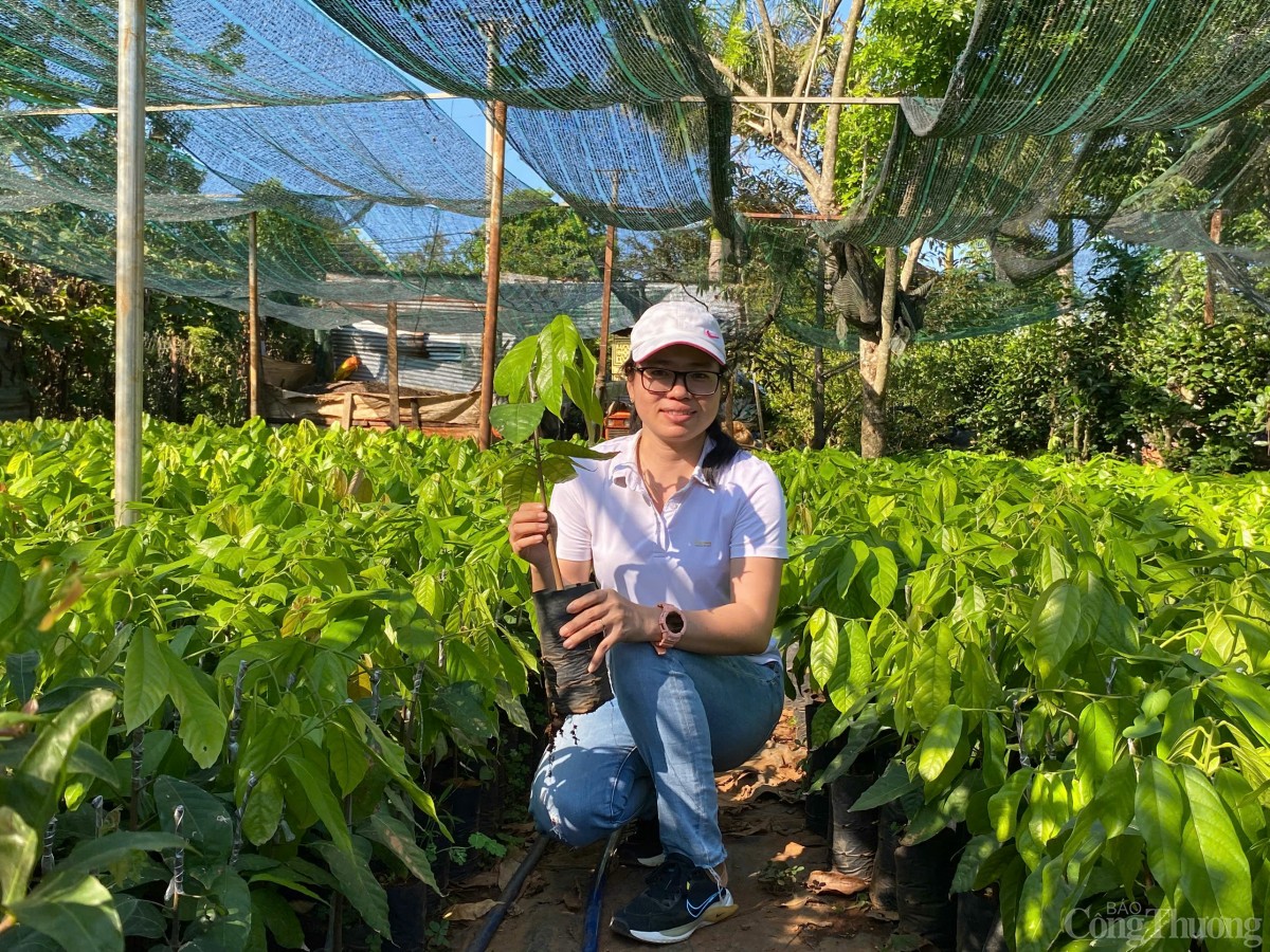 Bài 2: Minh bạch nguồn gốc và canh tác bền vững