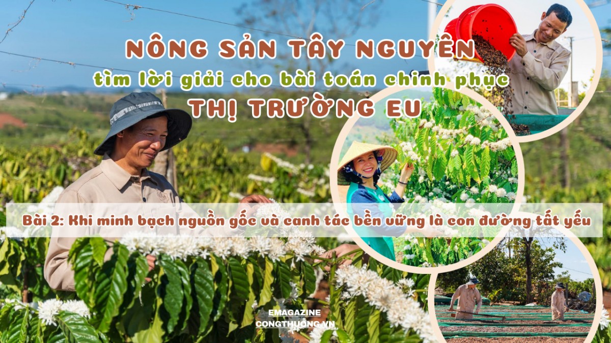 Bài 2: Minh bạch nguồn gốc và canh tác bền vững