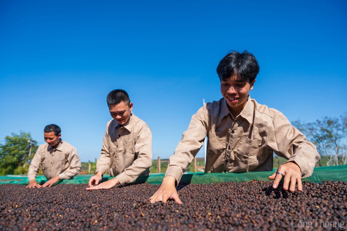 Bài 3: Những bước tiến đáng ghi nhận