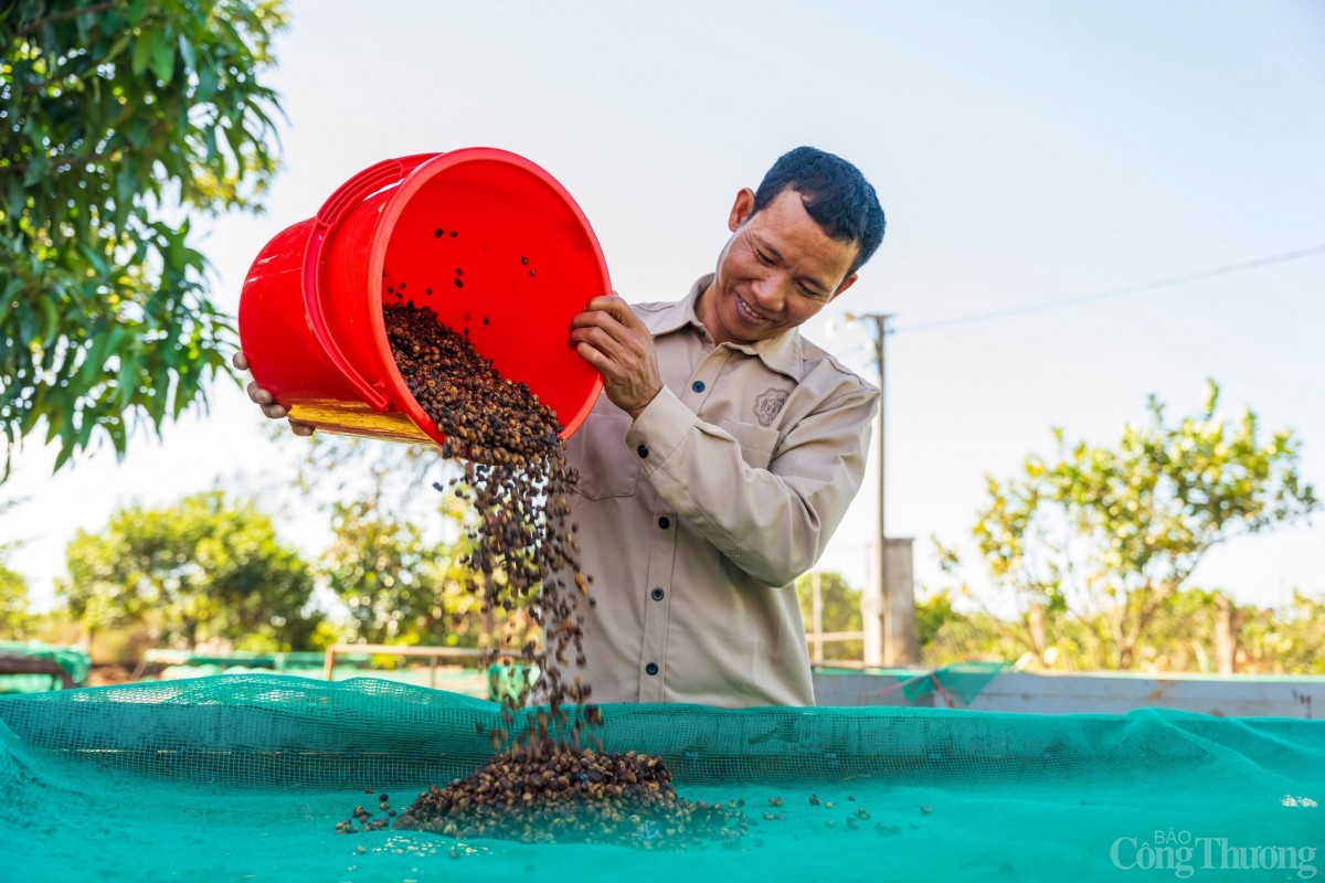 Bài 2: Minh bạch nguồn gốc và canh tác bền vững