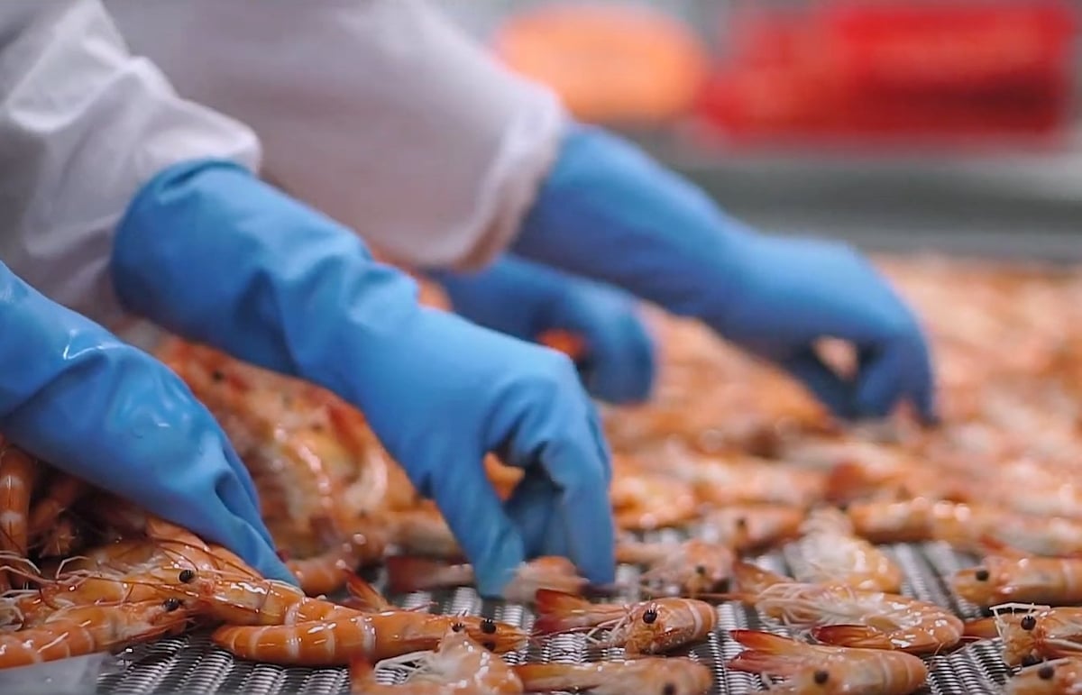 Chế biến tôm giá trị gia tăng để xuất khẩu tại một nhà máy ở ĐBSCL. Ảnh: Sơn Trang.