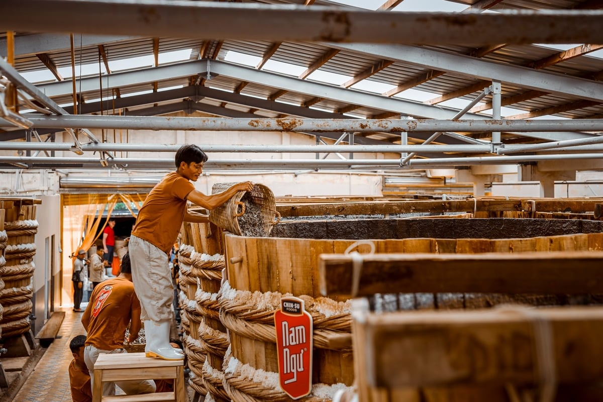 Cá sau khi ướp được mang về nhà thùng tiếp tục quy trình ủ chượp nghiêm ngặt trong thùng gỗ suốt 9 đến 12 tháng. Ảnh: MS. Cá sau khi ướp được mang về nhà thùng tiếp tục quy trình ủ chượp nghiêm ngặt trong thùng gỗ suốt 9 đến 12 tháng. Ảnh: MS.