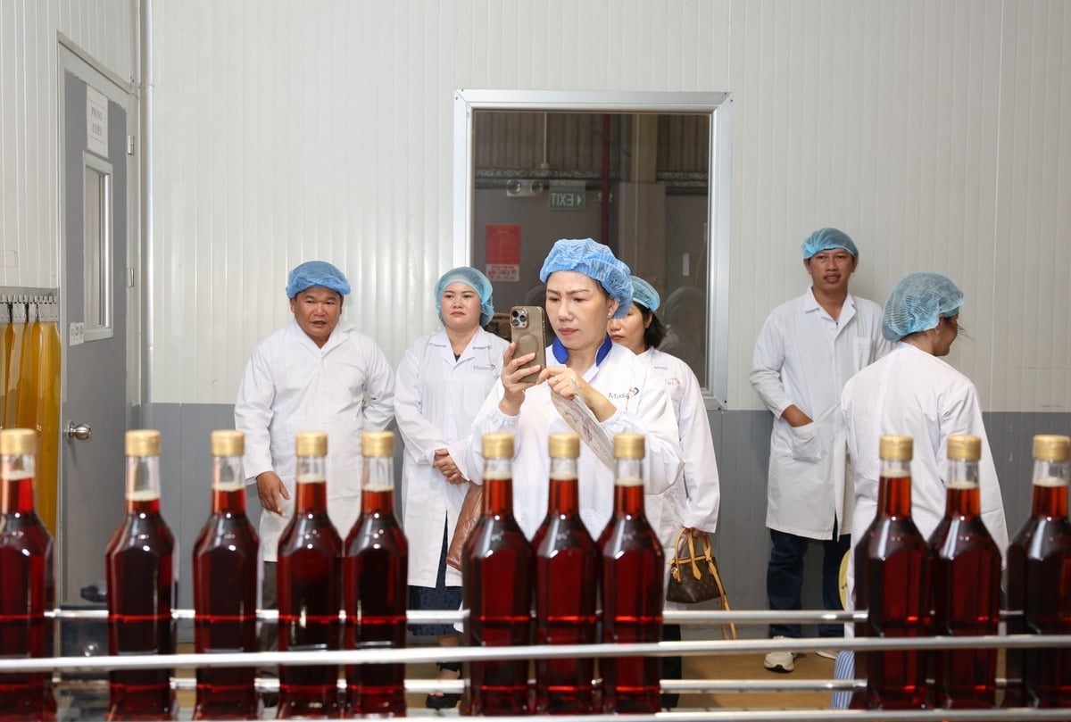 Dây chuyền chiết rót, đóng chai tự động và khép kín đảm bảo chất lượng của sản phẩm. Ảnh: MS. Dây chuyền chiết rót, đóng chai tự động và khép kín đảm bảo chất lượng của sản phẩm. Ảnh: MS.