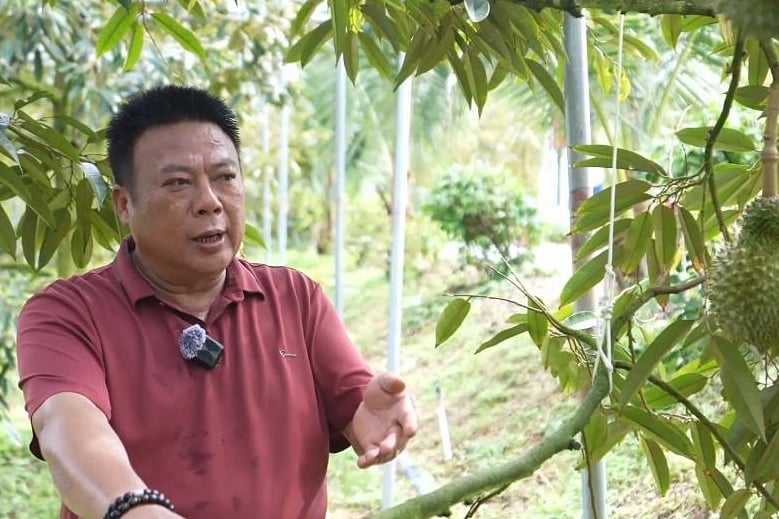 Nông dân Đặng Kỳ Xương phấn khởi về sầu riêng chín cây trồng tại đảo Hải Nam. Ảnh: Xinhua.