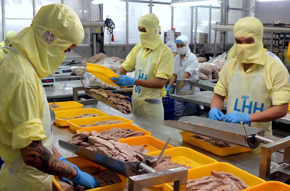 Nhà máy chế biến cá ngừ xuất khẩu. Ảnh: Kim Sơ. Nhà máy chế biến cá ngừ xuất khẩu. Ảnh: Kim Sơ.