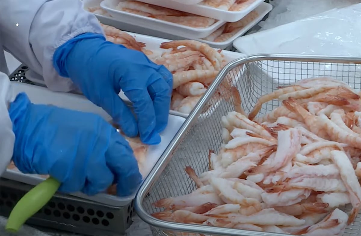 Chế biến sản phẩm giá trị gia tăng từ tôm. Ảnh: Thanh Sơn.