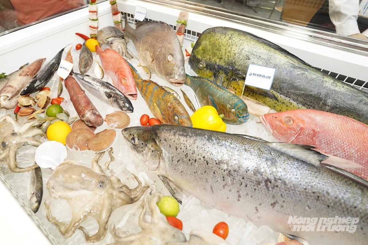 EU là thị trường tiêu thụ thủy sản lớn nhất thế giới, với 60 tỷ USD. Tuy nhiên, kim ngạch xuất khẩu thủy sản Việt Nam vào nước này mới chỉ đạt 1,04 tỷ USD. Ảnh: Nguyễn Thủy.