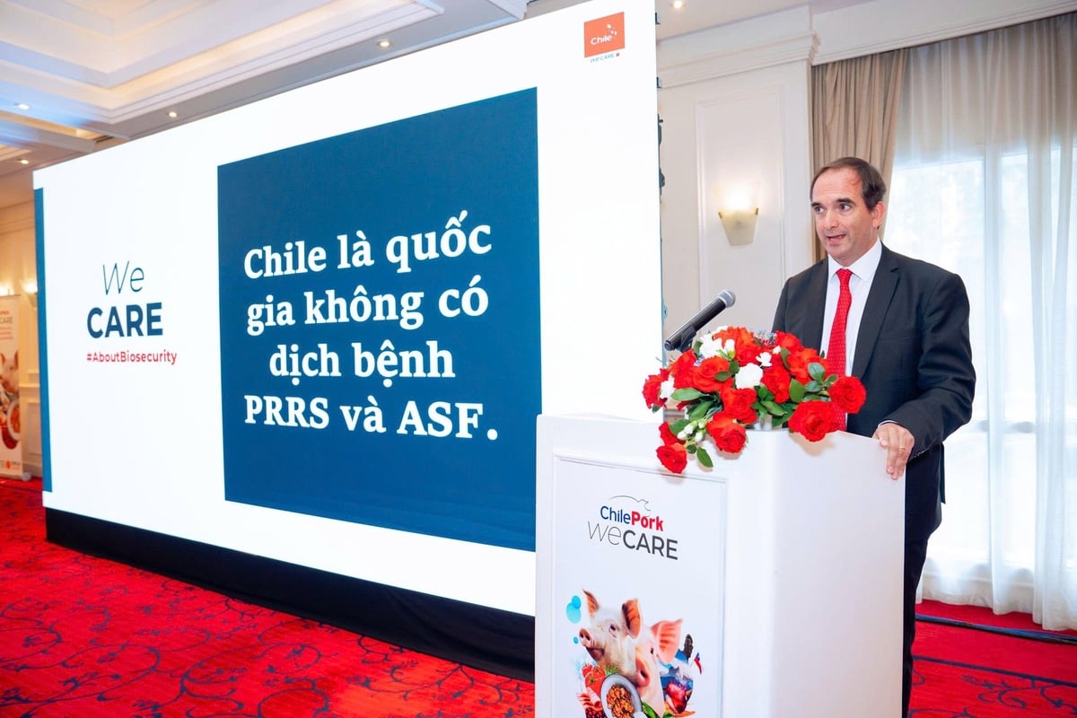 Ông Juan Carlos Dominguez Covarrubias, Chủ tịch Hiệp hội xuất khẩu thịt Chile (ChileCarne). Ảnh: Kiều Chi.