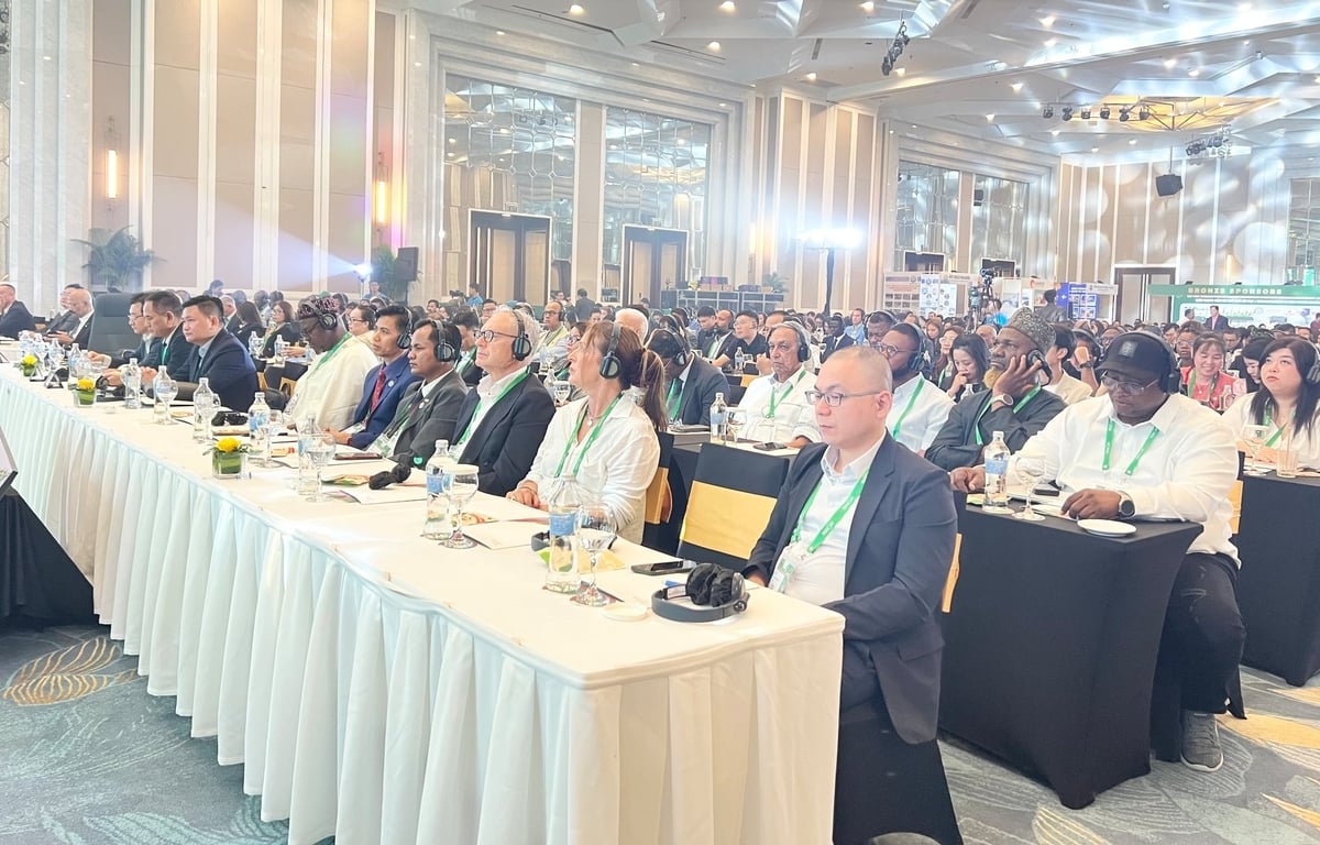 Các đại biểu quốc tế dự Hội nghị Điều quốc tế Việt Nam 2025. Ảnh: Thanh Sơn.  