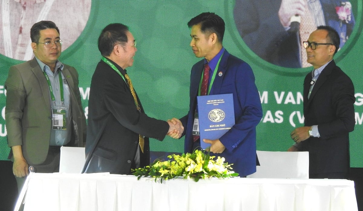 VINACAS ký Bản ghi nhớ với Hiệp hội Điều Campuchia. Ảnh: Thanh Sơn.