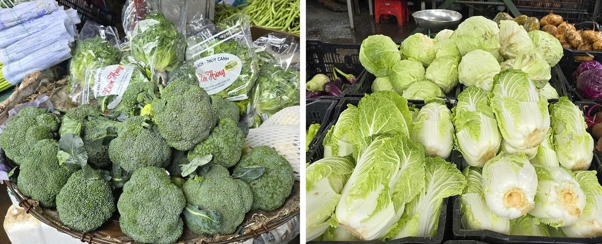 Giá súp lơ xanh từ 50.000 - 55.000 đồng/kg, cải thảo từ 20.000 - 25.000 đồng/kg. Ảnh: Phương Chi.