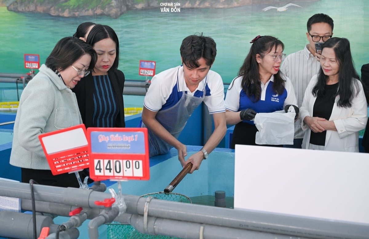 Người dân đến mua hải sản 'đang bơi' trong bể nước biển được lọc qua công nghệ tuần hoàn Ảnh: Cường Vũ. 