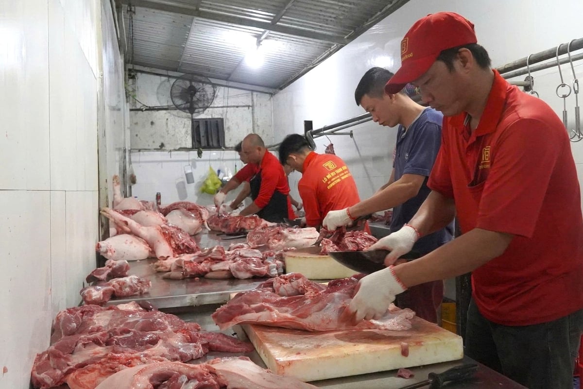 Ngành chức năng Cần Thơ khuyến cáo người tiêu dùng ưu tiên lựa chọn thịt có dấu kiểm soát giết mổ, tem truy xuất nguồn gốc, mua tại cơ sở uy tín, chợ kiểm soát chặt chẽ. Ảnh: Kim Anh.