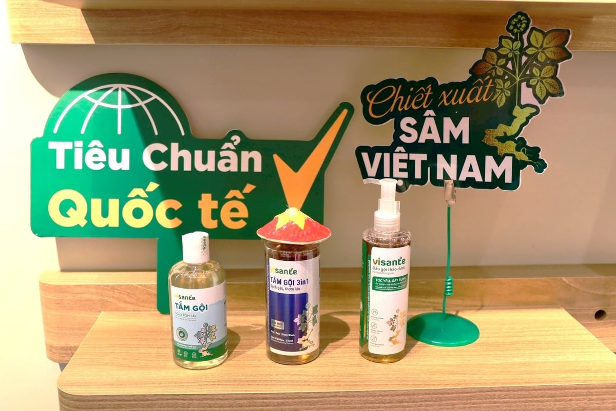 Chương trình tổ chức theo mô hình kết hợp giữa trưng bày trực tiếp và livestream trên nền tảng số. Ảnh: Ánh Dương.