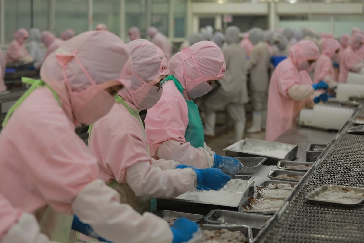 Doanh nghiệp thủy sản đối mặt áp lực đơn hàng trong quý II. Ảnh: Hà Linh. Doanh nghiệp thủy sản đối mặt áp lực đơn hàng trong quý II. Ảnh: Hà Linh.