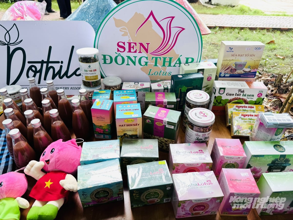 Các mặt hàng nông sản OCOP Đồng Tháp phục vụ kênh bán hàng online được  vận chuyển đến nhiều tỉnh, thành và cả xuất khẩu sang nước ngoài. Ảnh: Lê Hoàng Vũ.