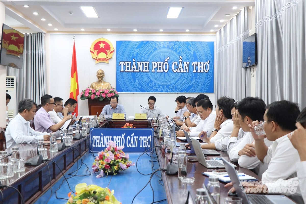 UBND TP Cần Thơ vừa có buổi làm việc với Tập đoàn Điện lực Việt Nam (EVN) về tình hình tiêu thụ điện năm 2026. Ảnh: Kim Anh.