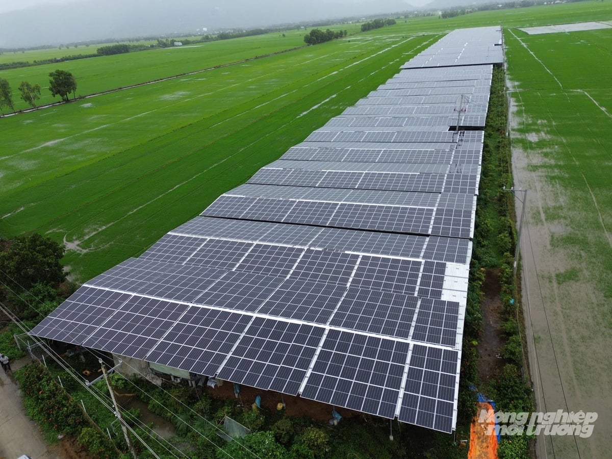 Điện mặt trời áp mái là nguồn năng lượng bổ trợ đầy tiềm năng hiện nay tại ĐBSCL nói chung và TP Cần Thơ nói riêng. Ảnh: Kim Anh.