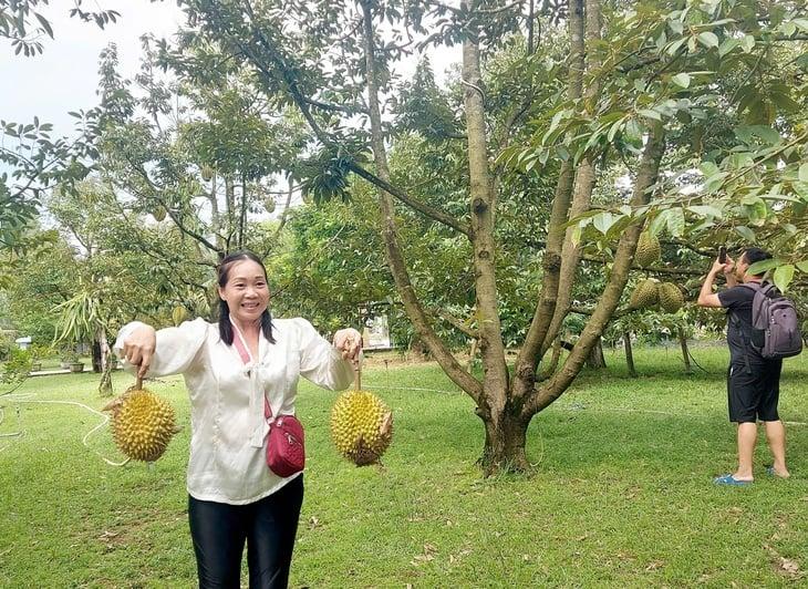 Du khách trải nghiệm hái sầu riêng tại khu vườn. Ảnh: China News.