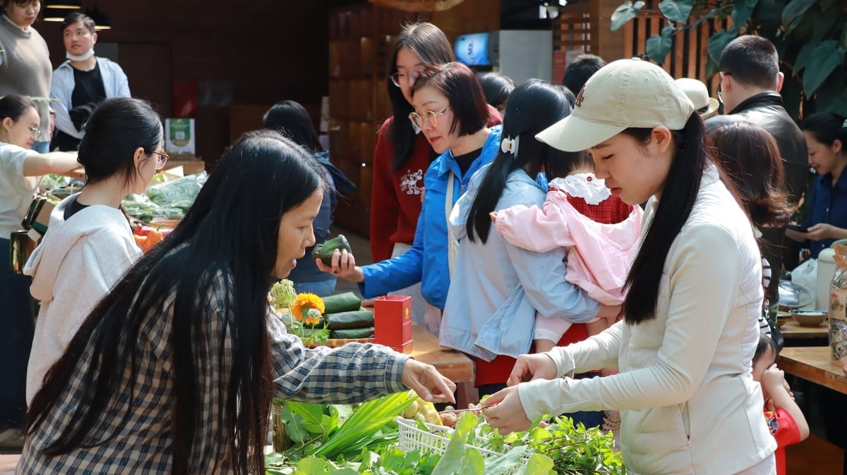 Chị Ninh Thị Hường (bên phải) lựa chọn rau tại Phiên chợ nông sản hữu cơ Đà Lạt, ưu tiên sản phẩm phù hợp cho bữa ăn gia đình. Ảnh: Nhật Tiến.