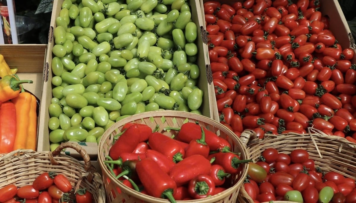 Nông sản hữu cơ được bày bán tại Phiên chợ nông sản hữu cơ Đà Lạt, phường Lang Biang – Đà Lạt, thu hút người tiêu dùng lựa chọn nhờ nguồn gốc rõ ràng. Ảnh: Nhật Tiến.