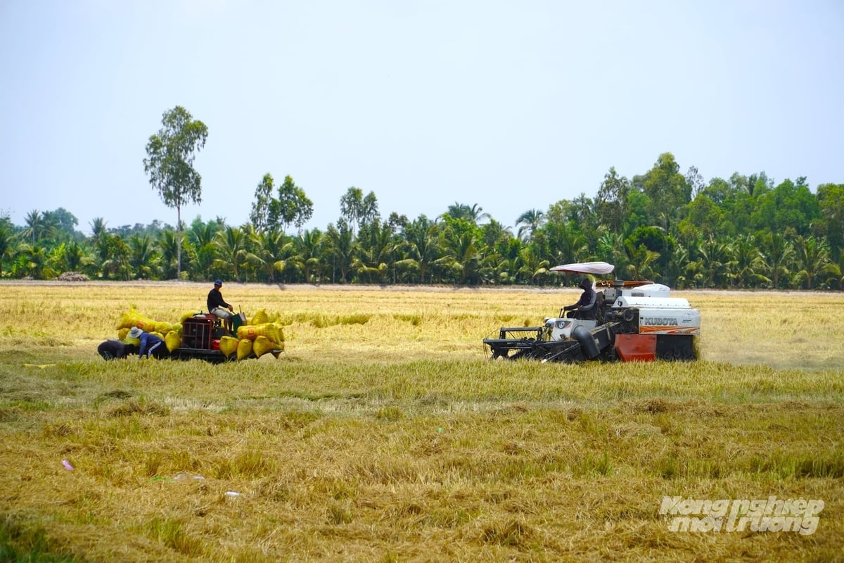  Việt Nam, với kinh nghiệm dẫn đầu thế giới về xuất khẩu lúa gạo và giống cây trồng, sẵn sàng chia sẻ với Sri Lanka về mô hình phát triển chuỗi giá trị. Ảnh: Kim Anh.