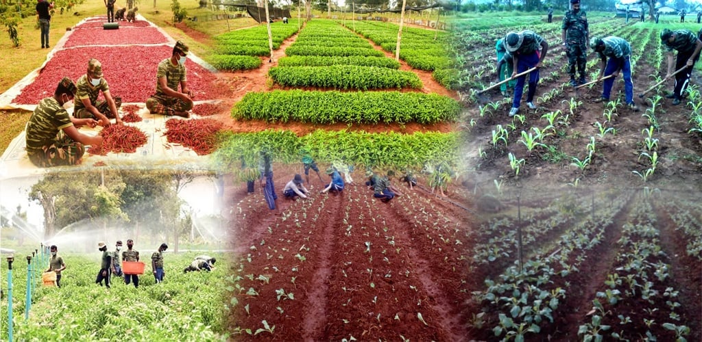 Lợi thế nông nghiệp của Sri Lanka nằm ở khí hậu nhiệt đới đa dạng và thổ nhưỡng màu mỡ. Ảnh: UNDP.